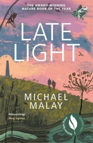 Late Light by Michael Malay