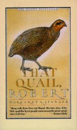 That Qual, Robert by Margaret A. Stanger