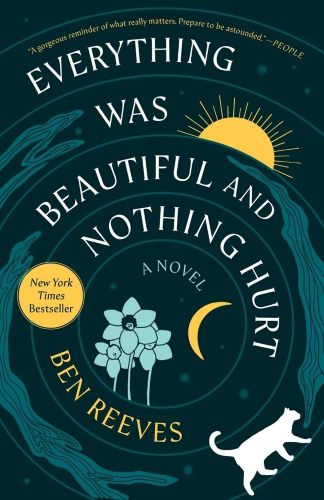 Everything Was Beautiful And Nothing Hurt by Ben Reeves