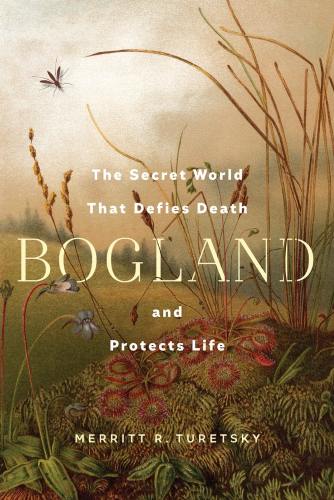Bogland by Merritt Turetsky