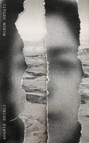Minor Detail by Adania Shibli, translated by Elisabeth Jaquette